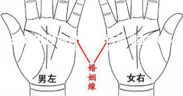 薄命出世的月份 生肖鼠谁的命不好